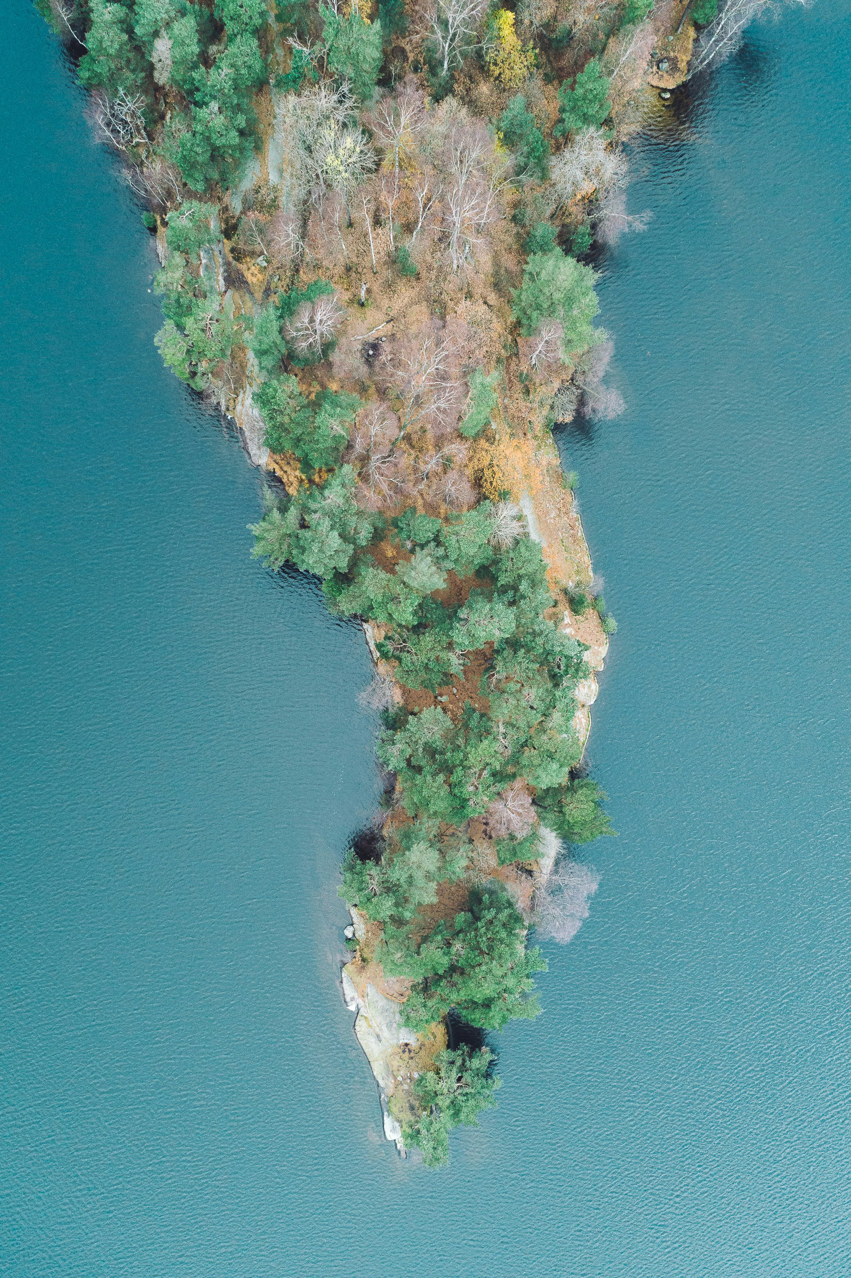 Area from above